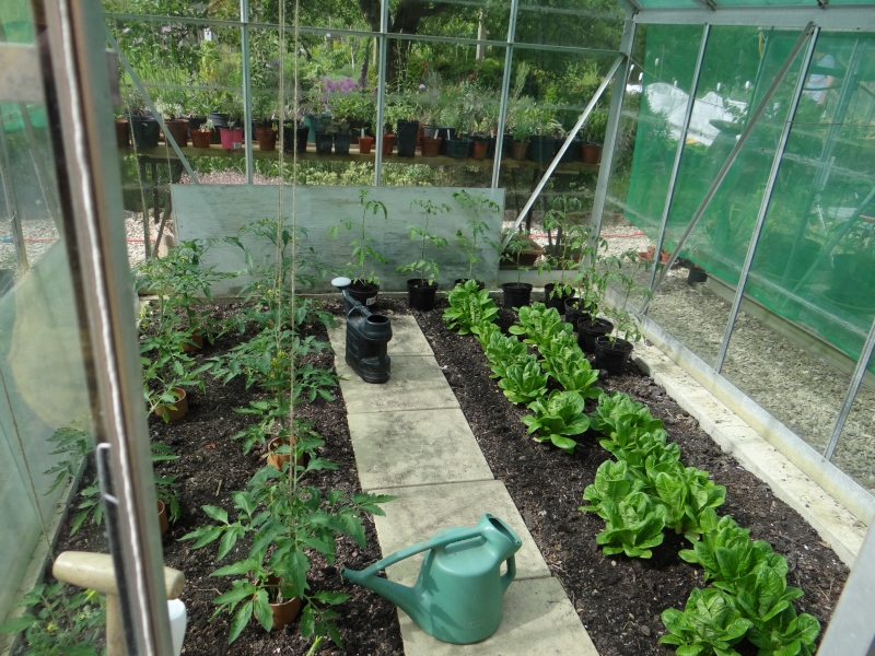 Garden Cottage & Walled Kitchen Garden